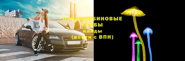 mix Вяземский