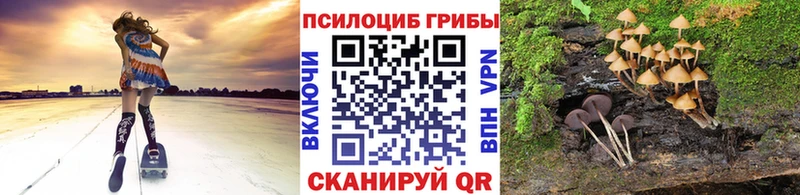 сколько стоит  blacksprut зеркало  Псилоцибиновые грибы Cubensis  Кандалакша 